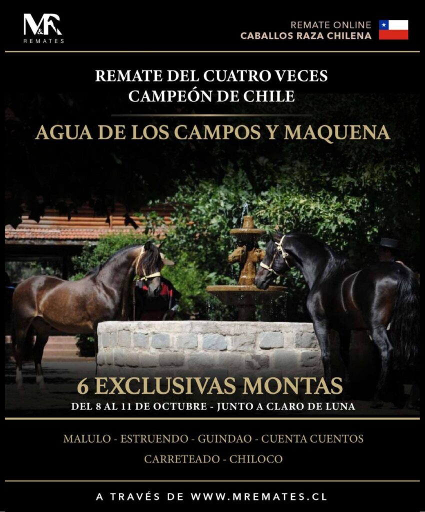 Catalogo_Remate_Montas_Agua_de_los_campos_claro_de_luna_page-0001
