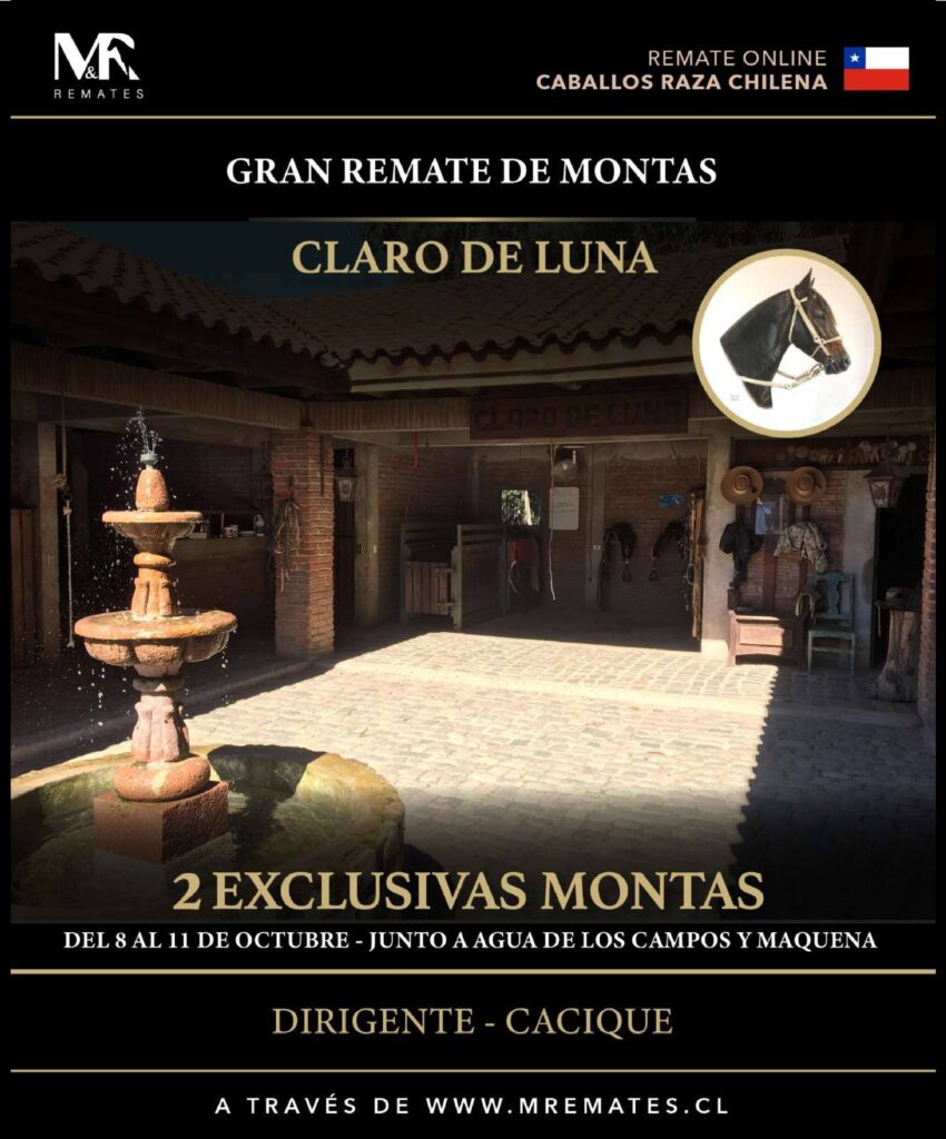 Catalogo_Remate_Montas_Agua_de_los_campos_claro_de_luna_page-0002