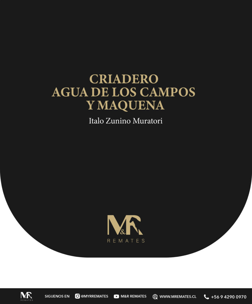 Catalogo_Remate_Montas_Agua_de_los_campos_claro_de_luna_page-0003