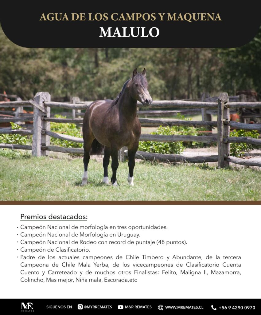Catalogo_Remate_Montas_Agua_de_los_campos_claro_de_luna_page-0004