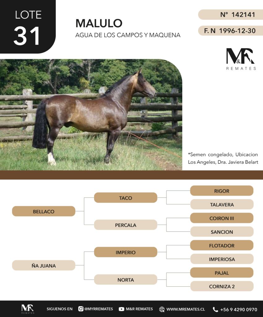Catalogo_Remate_Montas_Agua_de_los_campos_claro_de_luna_page-0005