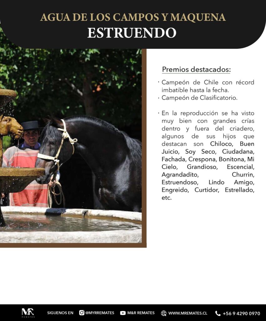Catalogo_Remate_Montas_Agua_de_los_campos_claro_de_luna_page-0006