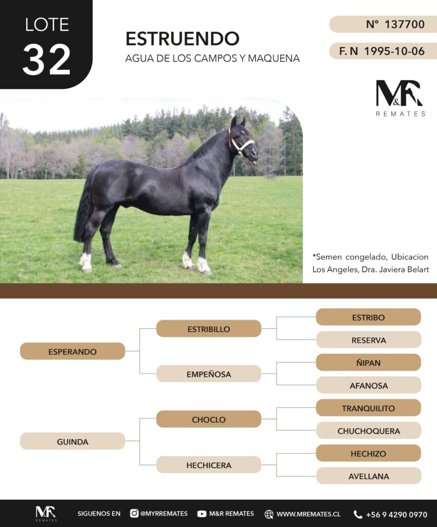 Catalogo_Remate_Montas_Agua_de_los_campos_claro_de_luna_page-0007