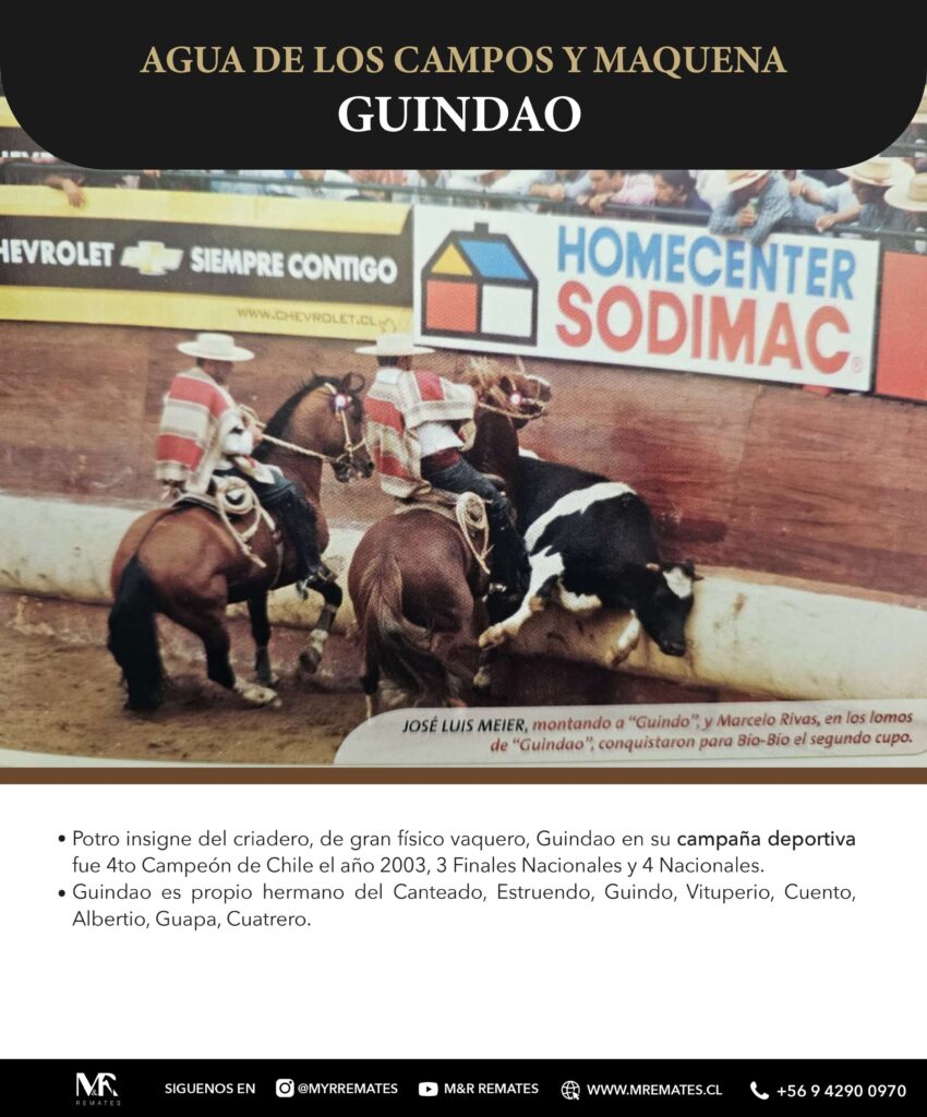 Catalogo_Remate_Montas_Agua_de_los_campos_claro_de_luna_page-0008