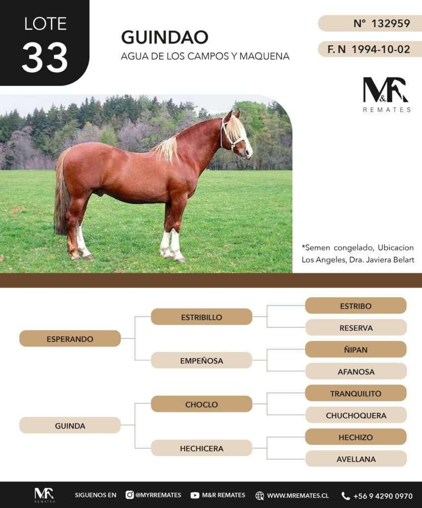 Catalogo_Remate_Montas_Agua_de_los_campos_claro_de_luna_page-0009