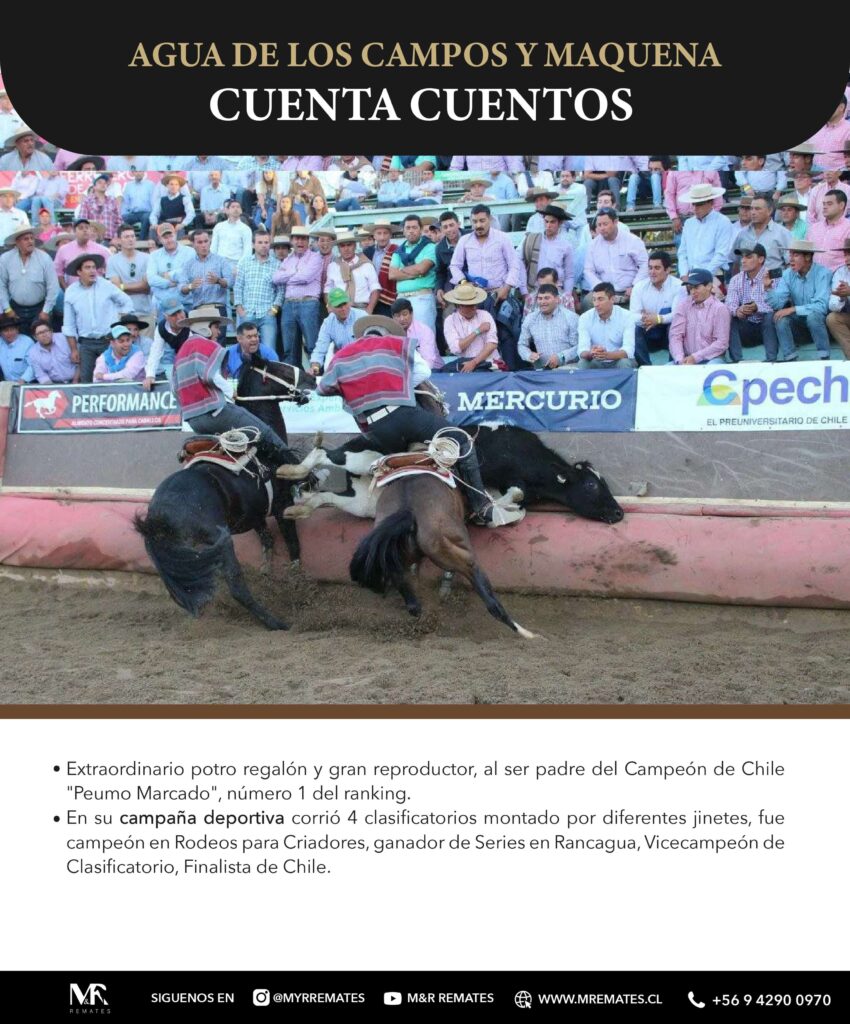 Catalogo_Remate_Montas_Agua_de_los_campos_claro_de_luna_page-0010