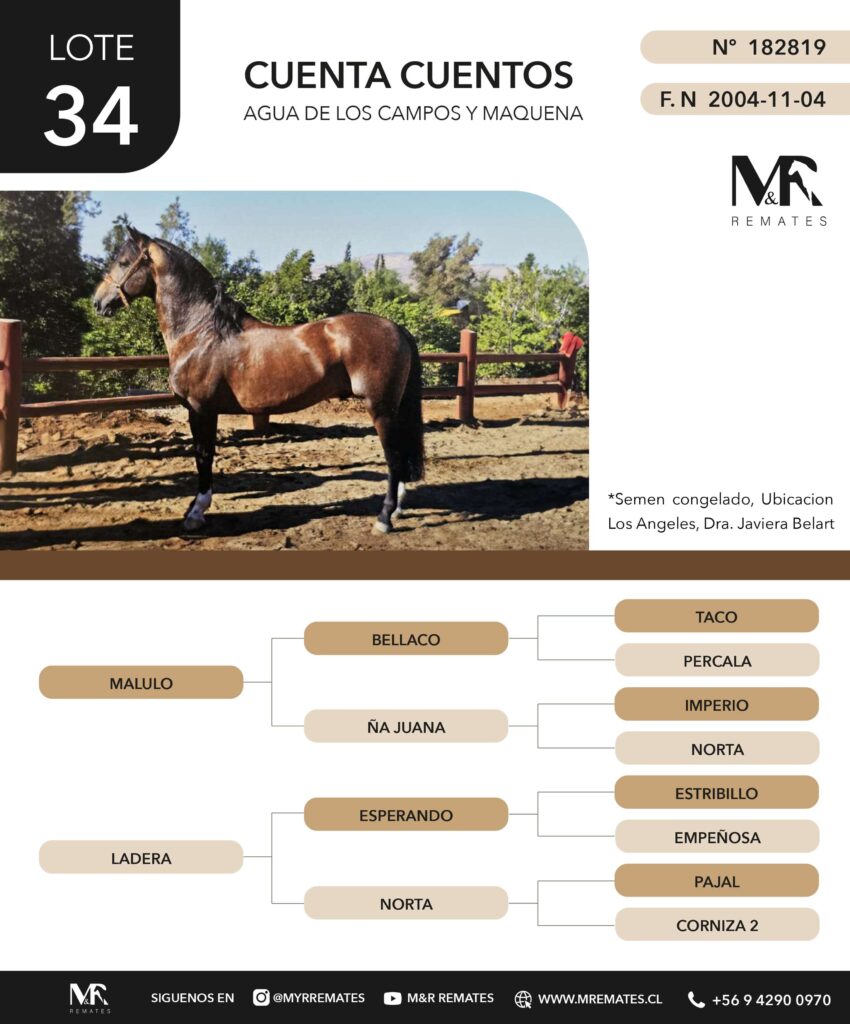 Catalogo_Remate_Montas_Agua_de_los_campos_claro_de_luna_page-0011