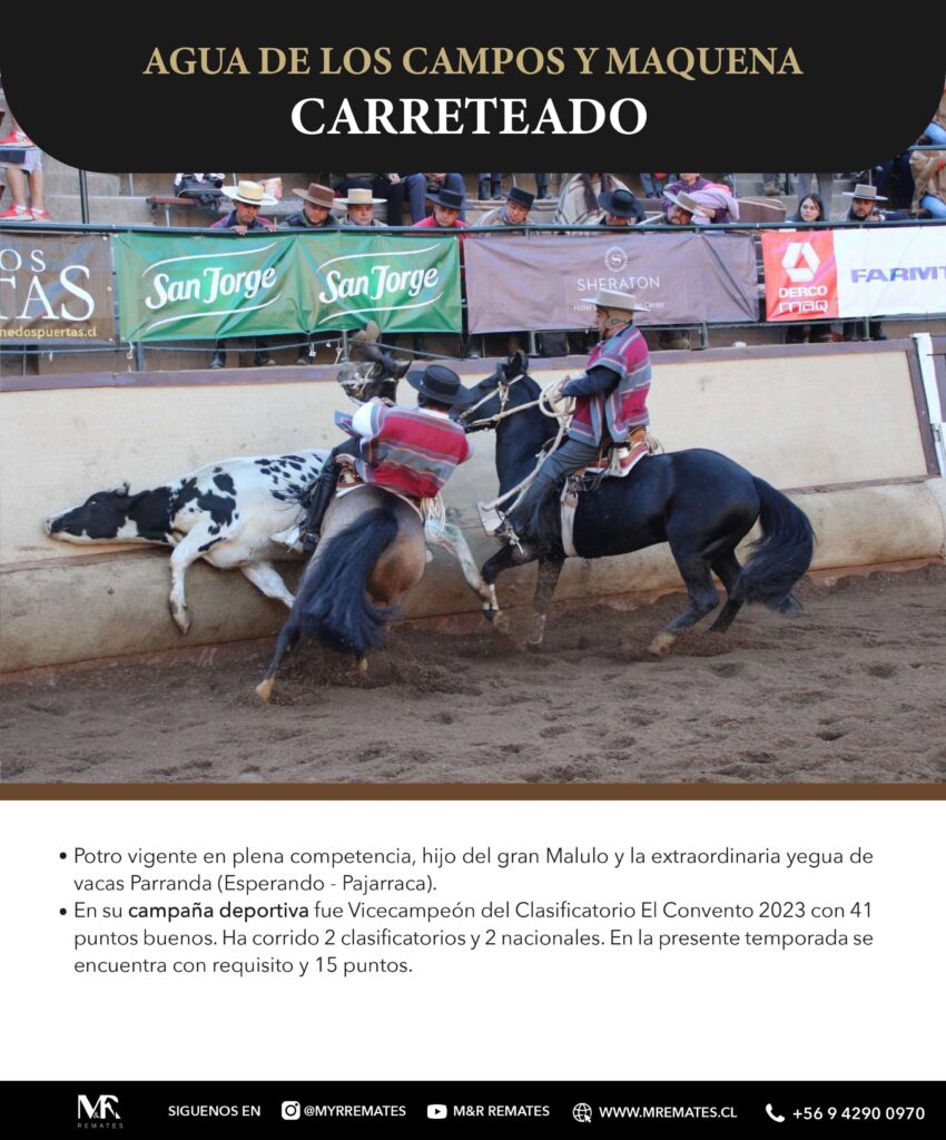 Catalogo_Remate_Montas_Agua_de_los_campos_claro_de_luna_page-0012