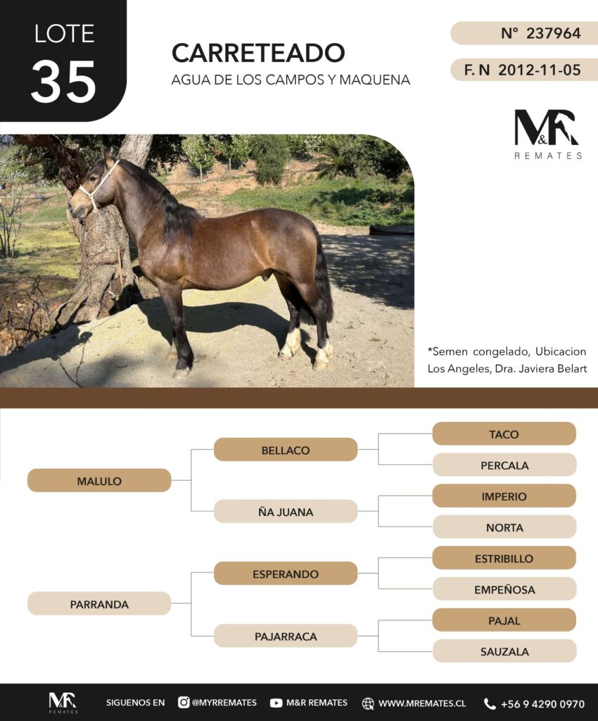 Catalogo_Remate_Montas_Agua_de_los_campos_claro_de_luna_page-0013