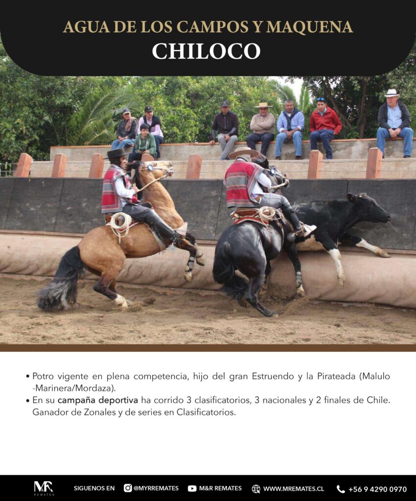 Catalogo_Remate_Montas_Agua_de_los_campos_claro_de_luna_page-0014