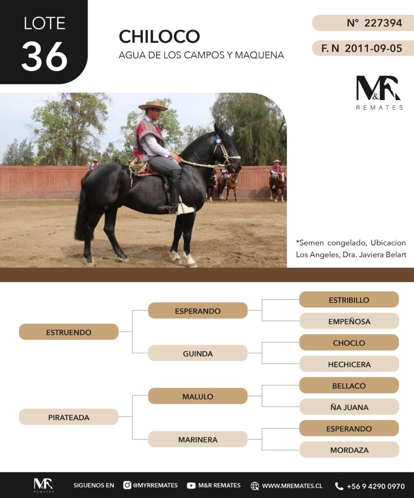 Catalogo_Remate_Montas_Agua_de_los_campos_claro_de_luna_page-0015
