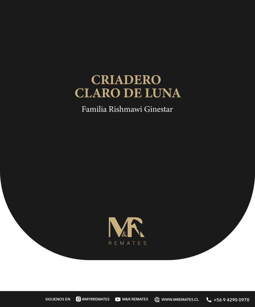 Catalogo_Remate_Montas_Agua_de_los_campos_claro_de_luna_page-0016
