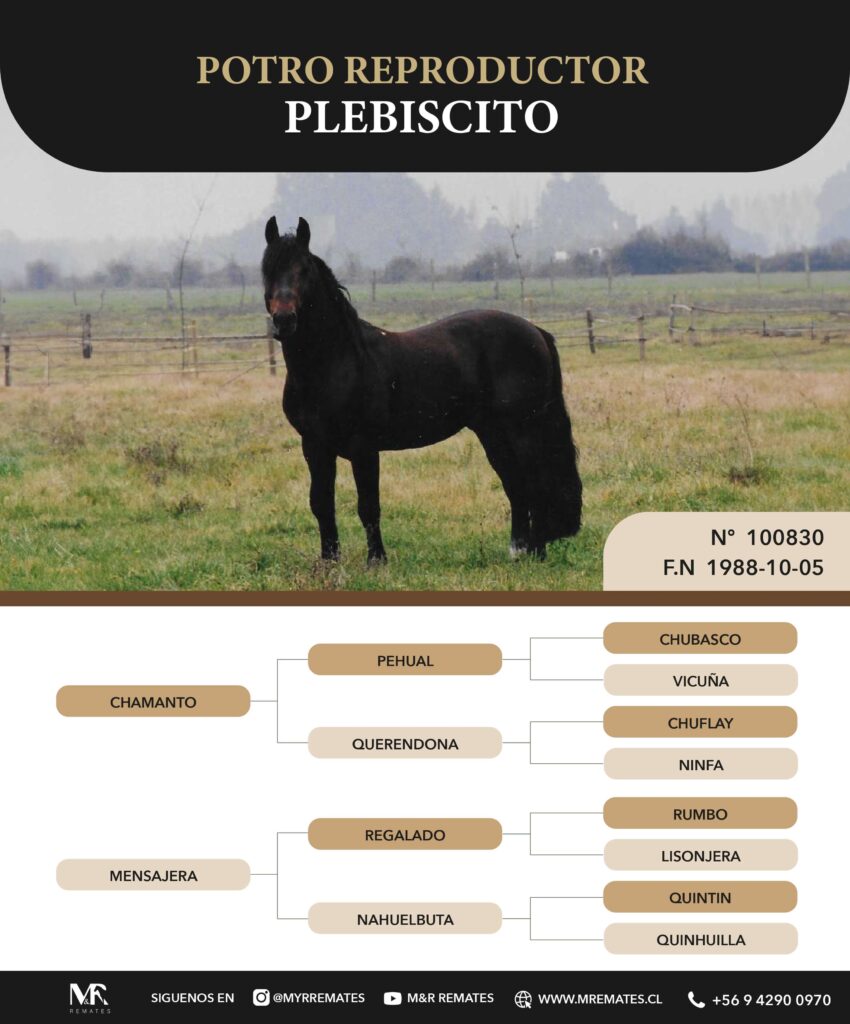 Catalogo_Remate_Montas_Agua_de_los_campos_claro_de_luna_page-0017
