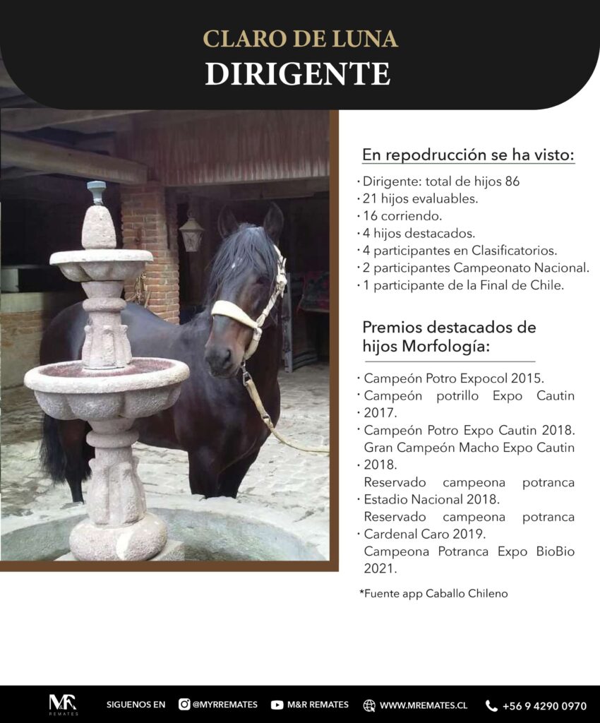 Catalogo_Remate_Montas_Agua_de_los_campos_claro_de_luna_page-0018