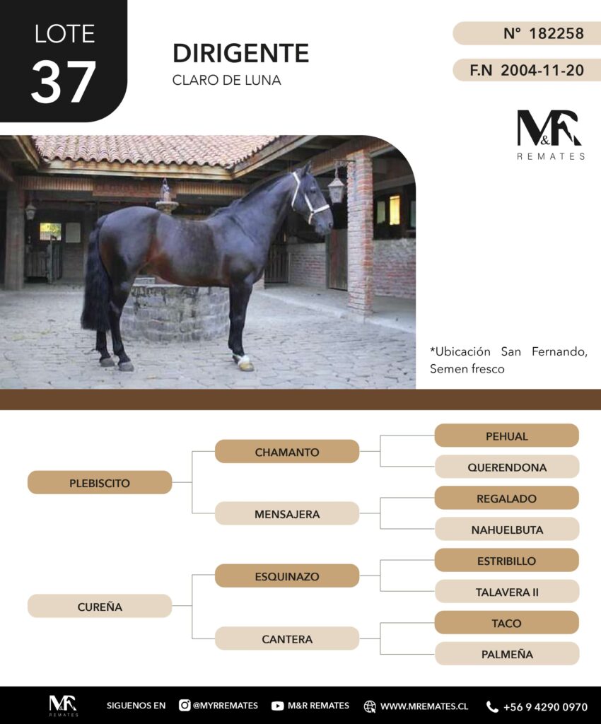 Catalogo_Remate_Montas_Agua_de_los_campos_claro_de_luna_page-0019