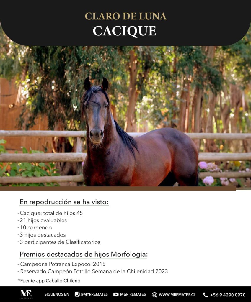 Catalogo_Remate_Montas_Agua_de_los_campos_claro_de_luna_page-0020