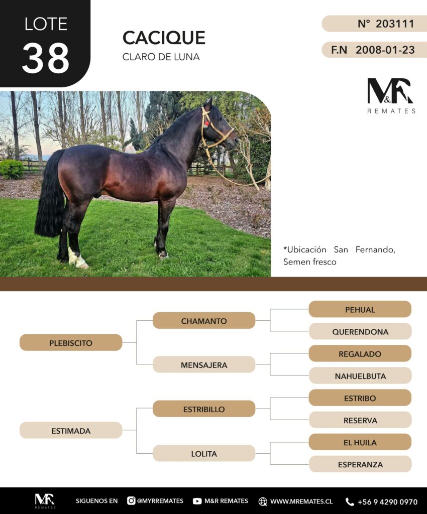 Catalogo_Remate_Montas_Agua_de_los_campos_claro_de_luna_page-0021