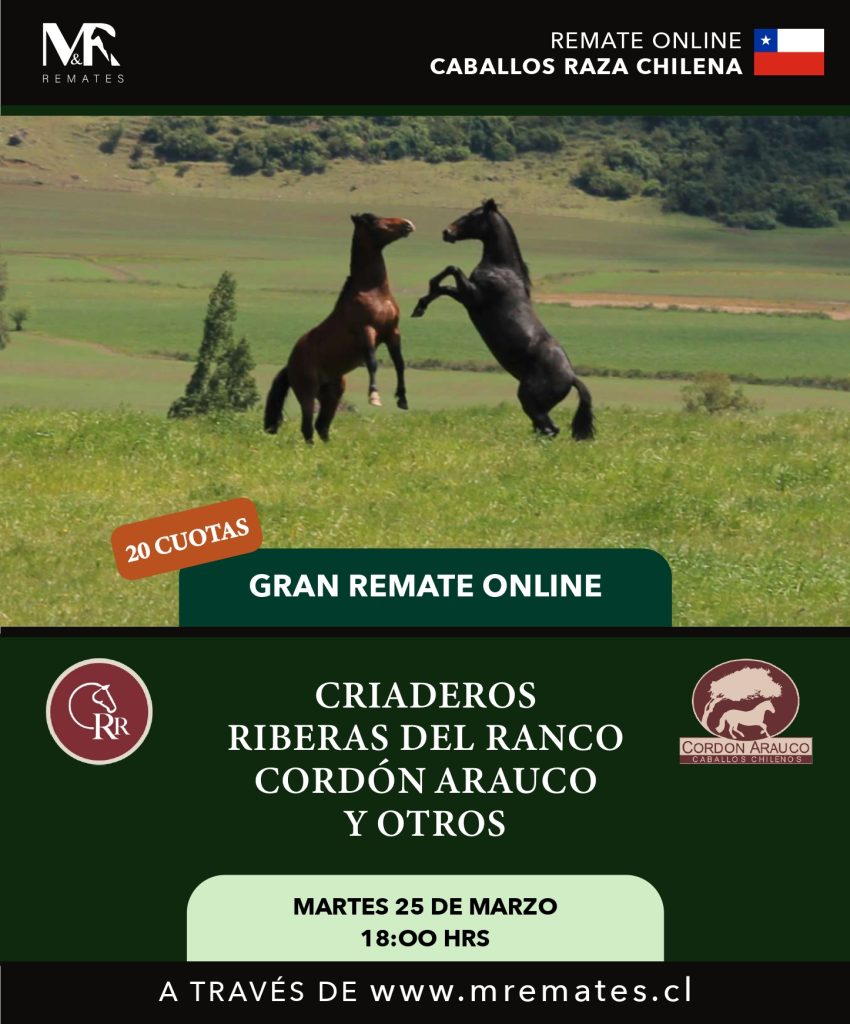 Catalogo_REMATE RIBERAS DEL RANCO - CORDON ARAUCO Y OTROS_pages-to-jpg-0001