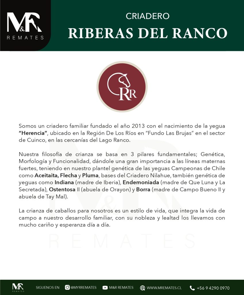 Catalogo_REMATE RIBERAS DEL RANCO - CORDON ARAUCO Y OTROS_pages-to-jpg-0025