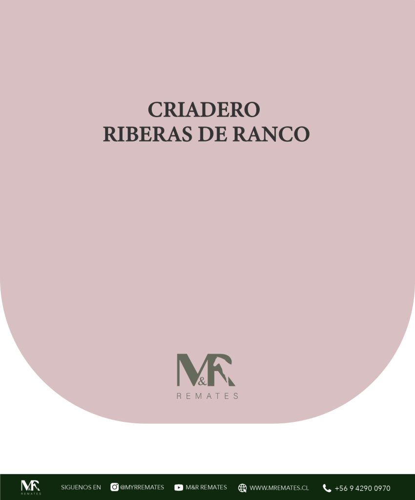 Catalogo_REMATE RIBERAS DEL RANCO - CORDON ARAUCO Y OTROS_pages-to-jpg-0026