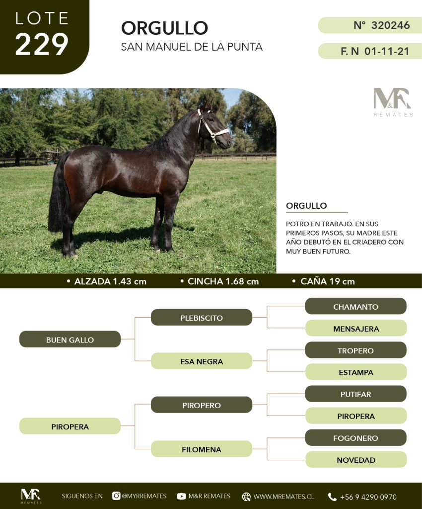 cat-080525-011