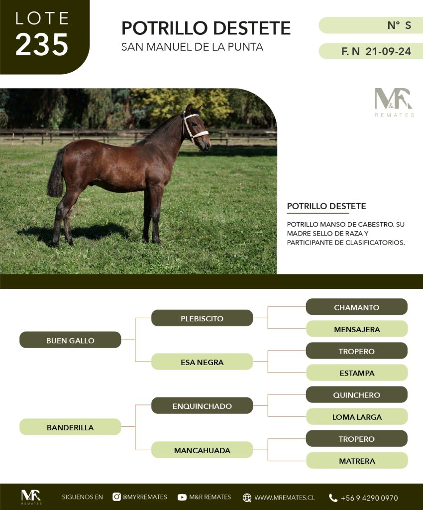 cat-080525-023