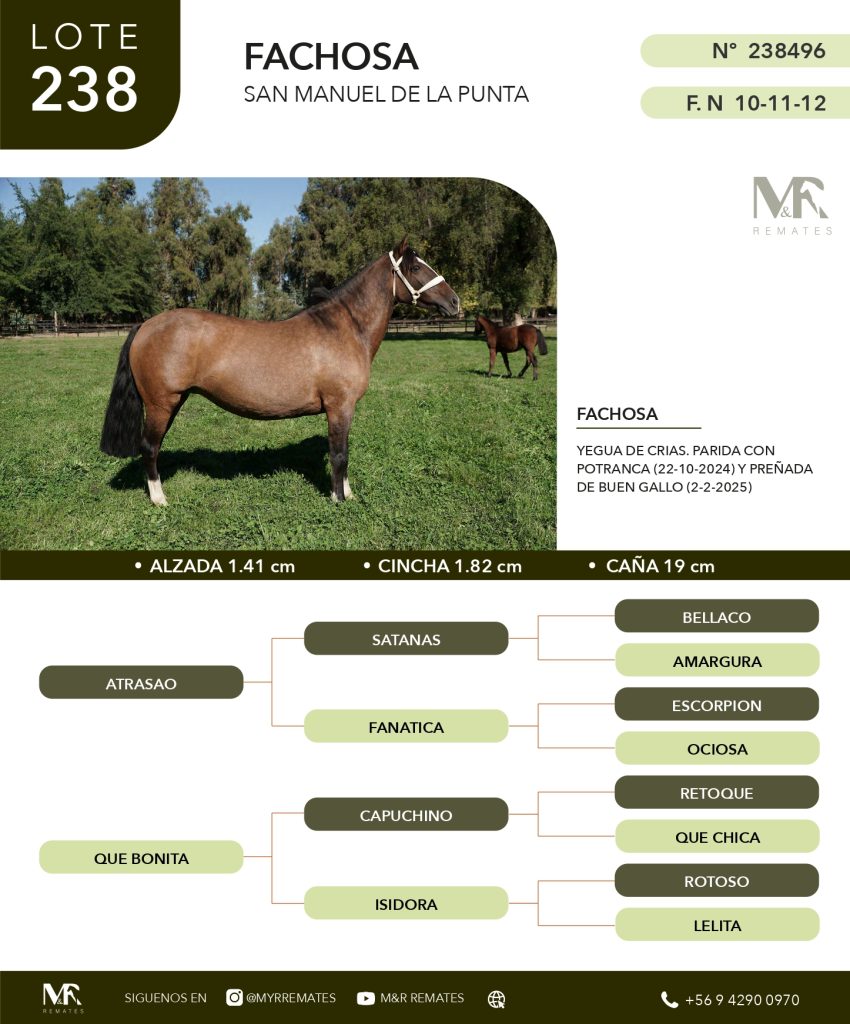 cat-080525-029