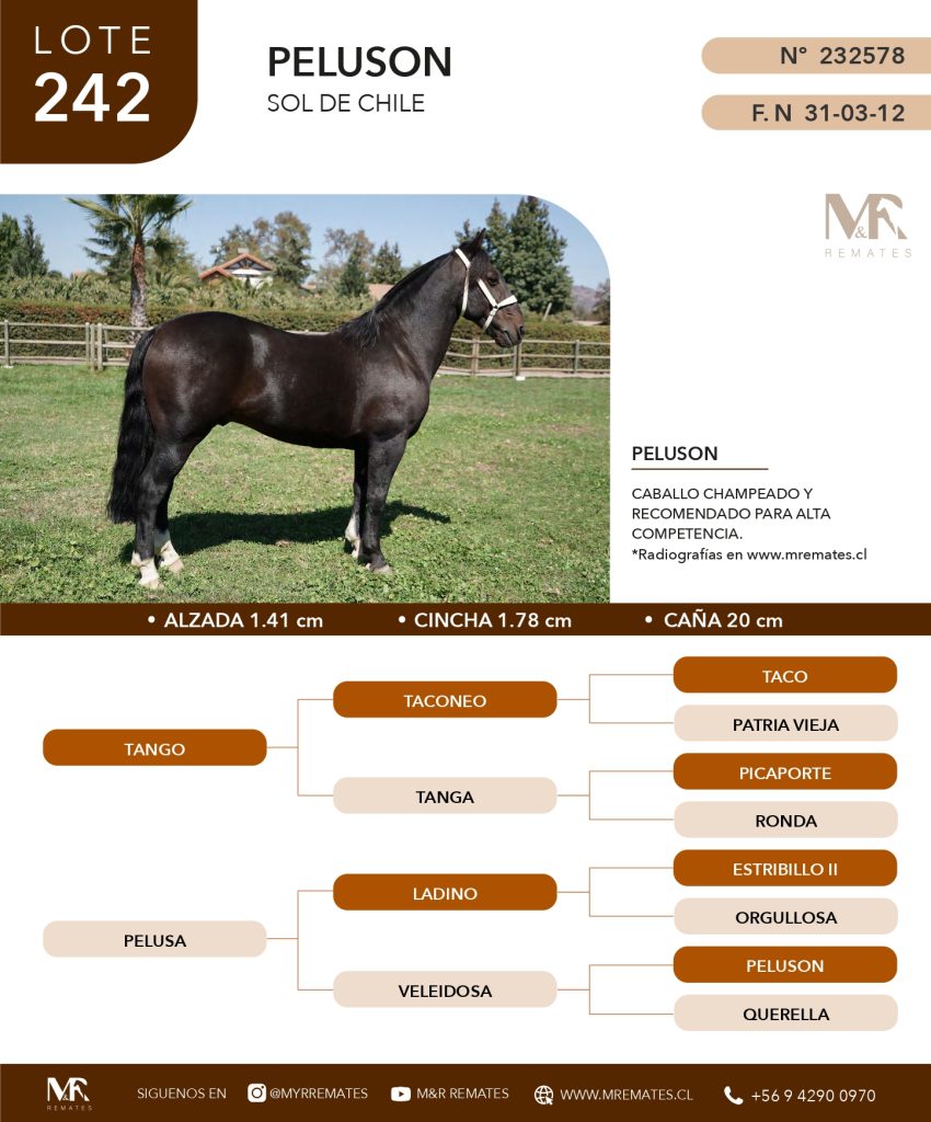 cat-080525-039