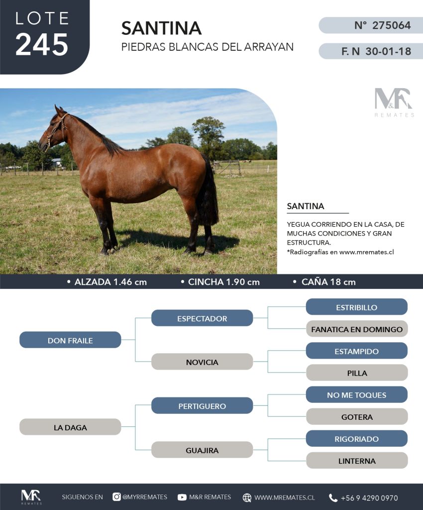 cat-080525-047