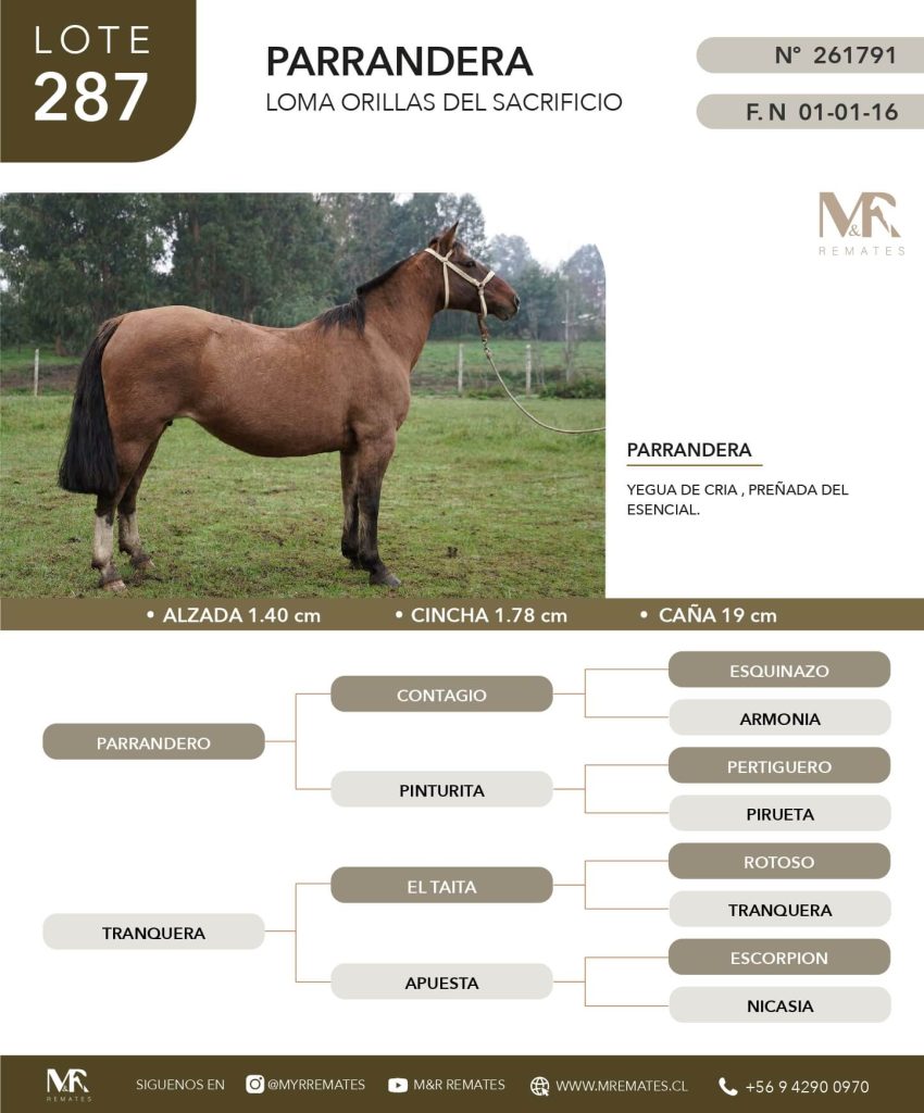 cat-050625-021