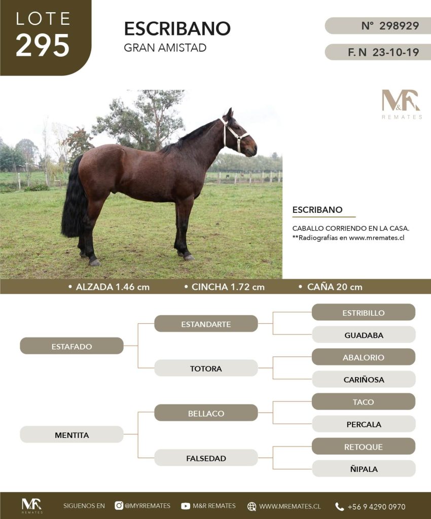 cat-050625-037