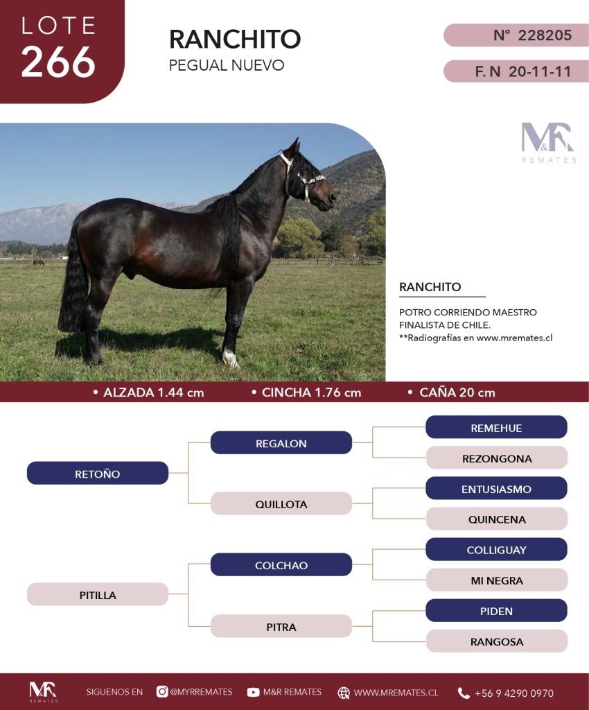 cat-200525-012