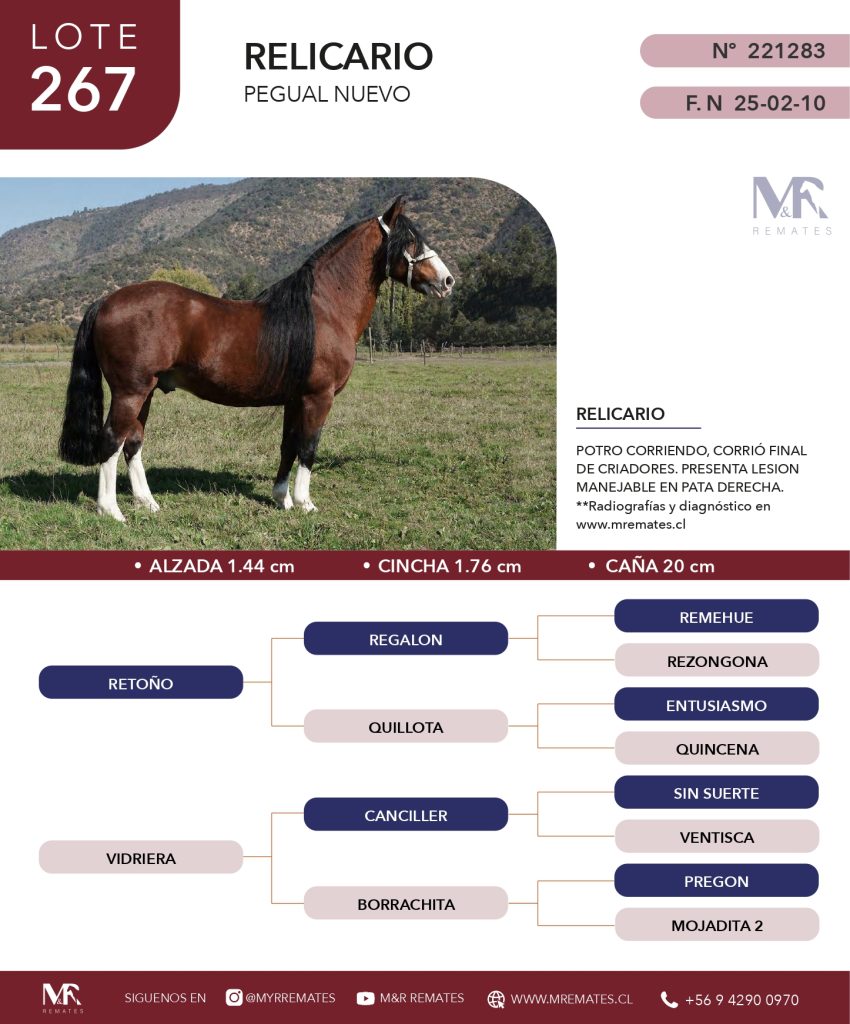 cat-200525-014
