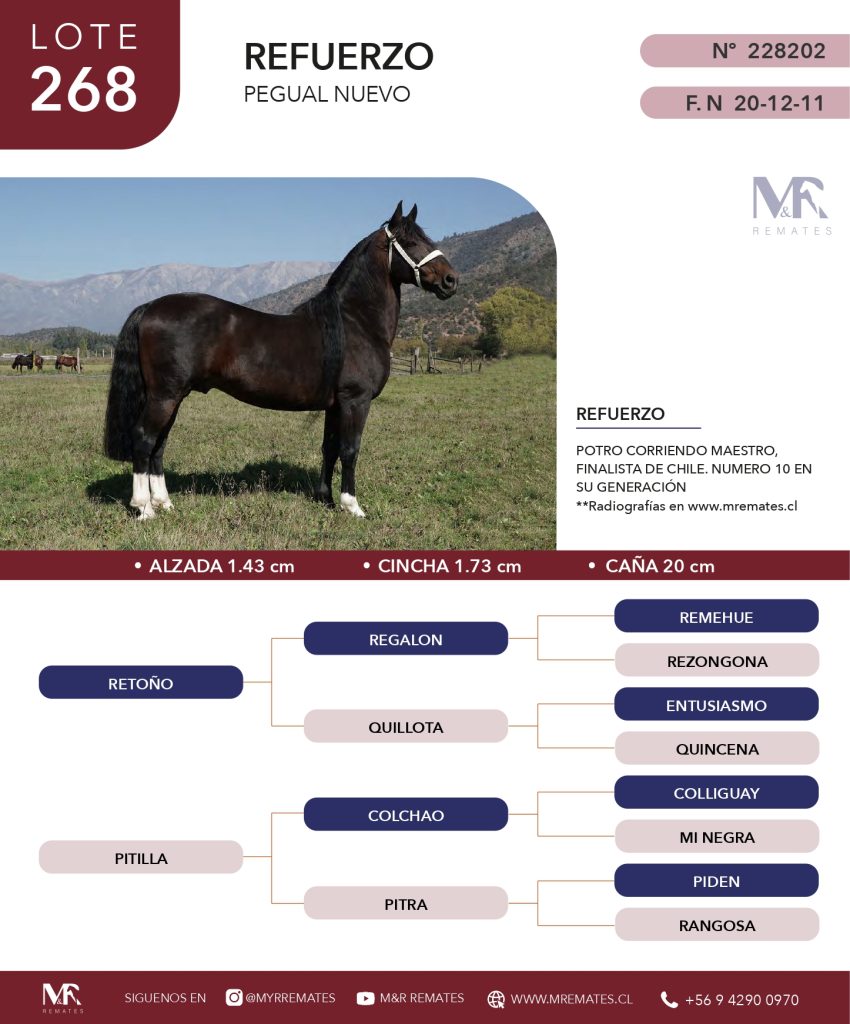 cat-200525-016