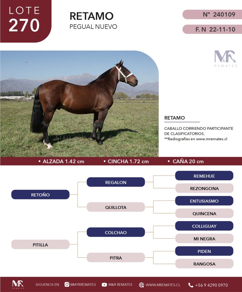 cat-200525-020