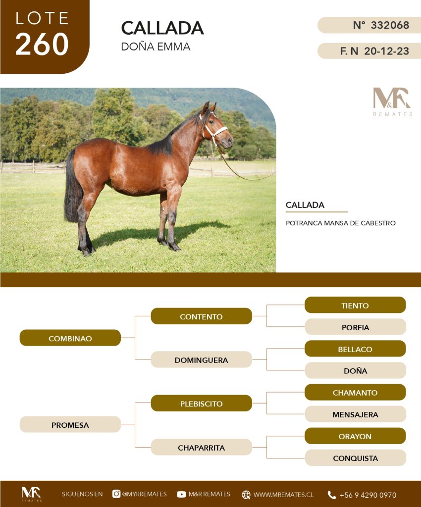 cat-200525-058