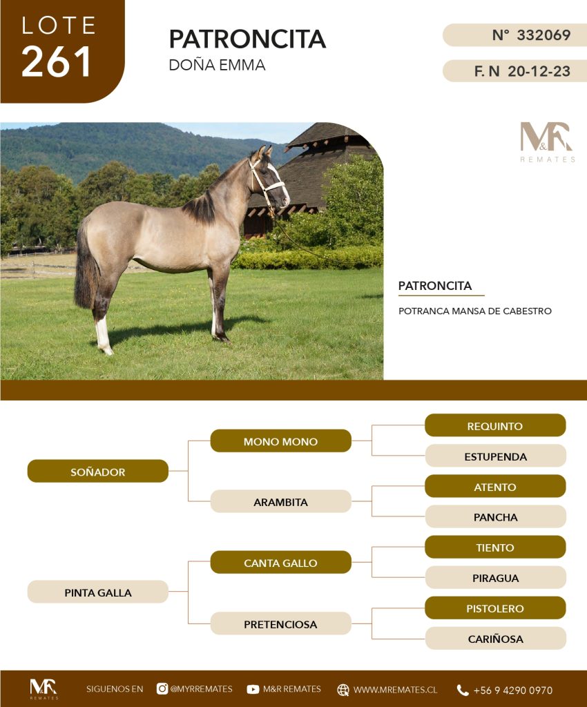 cat-200525-060