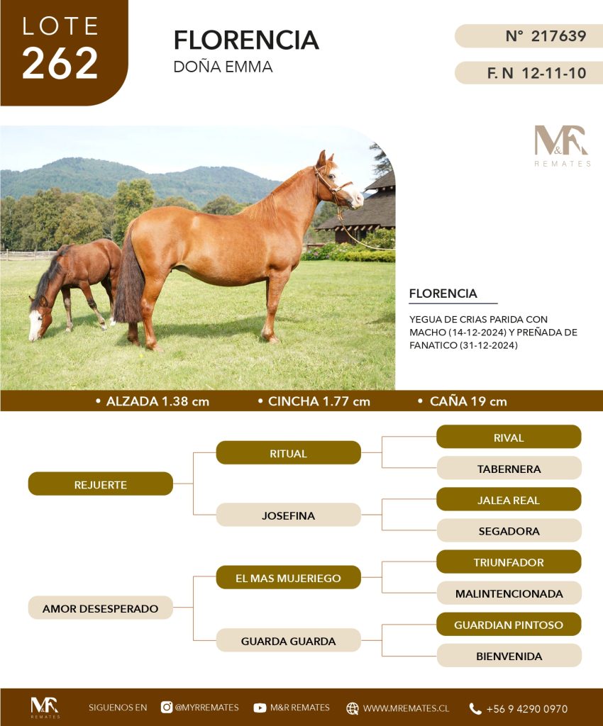 cat-200525-062