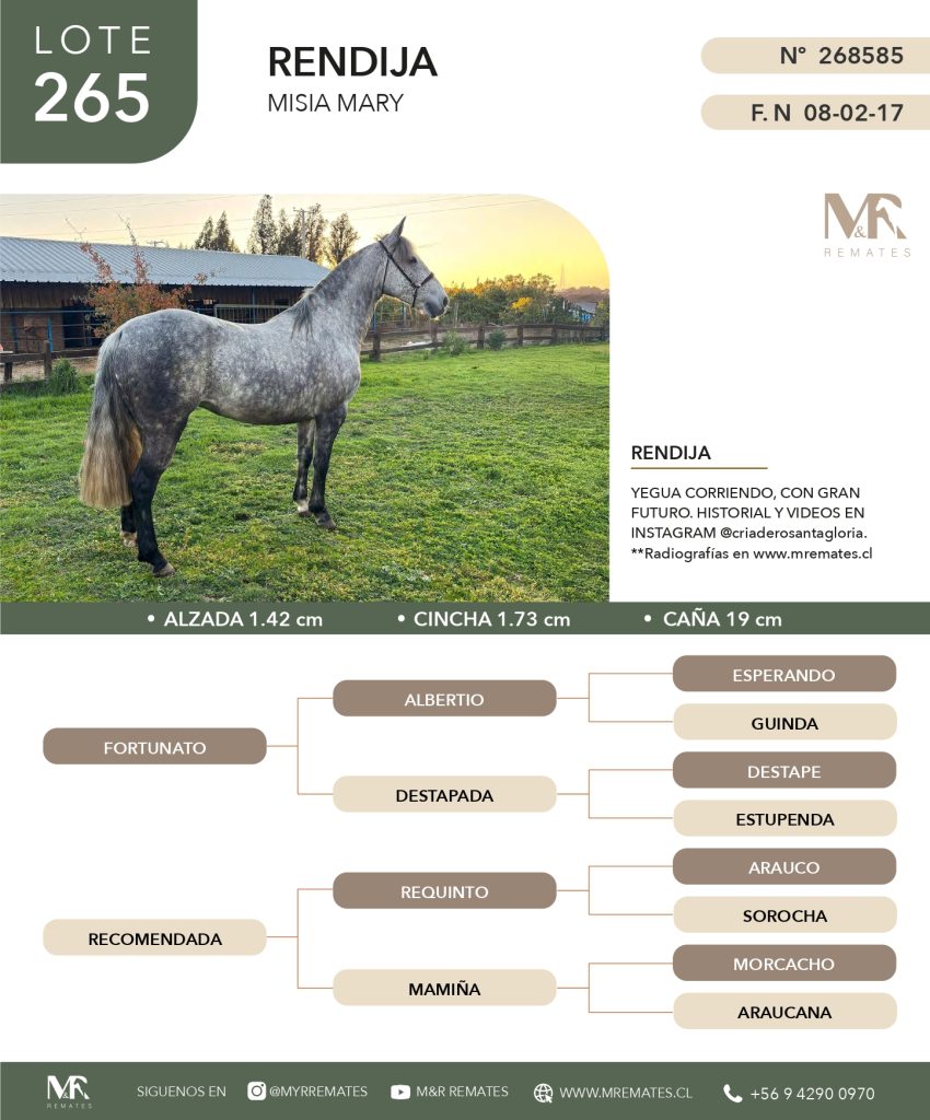 cat-200525-07