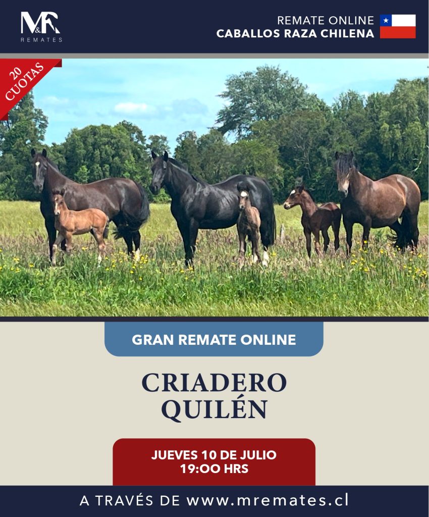 Catálogo_REMATE CRIADERO QUILEN_10-07-25_page-0001