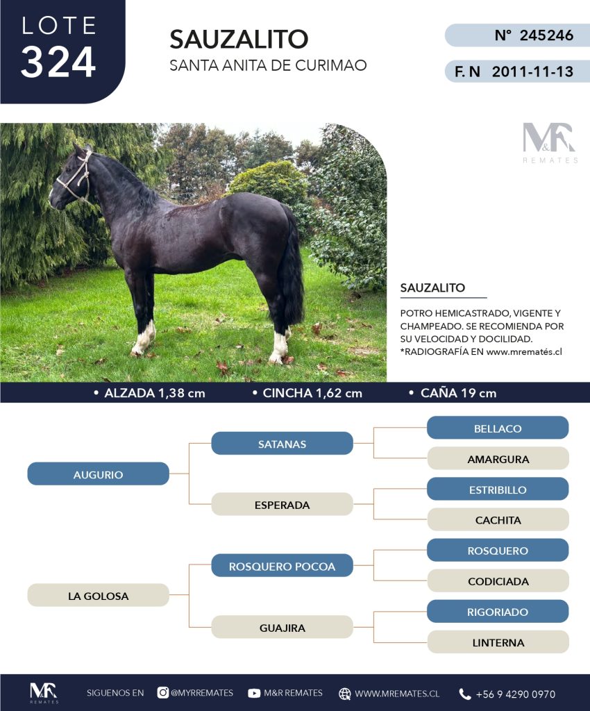 Catálogo_REMATE CRIADERO QUILEN_10-07-25_page-0047