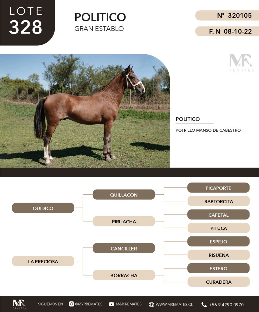 cat-307025-10