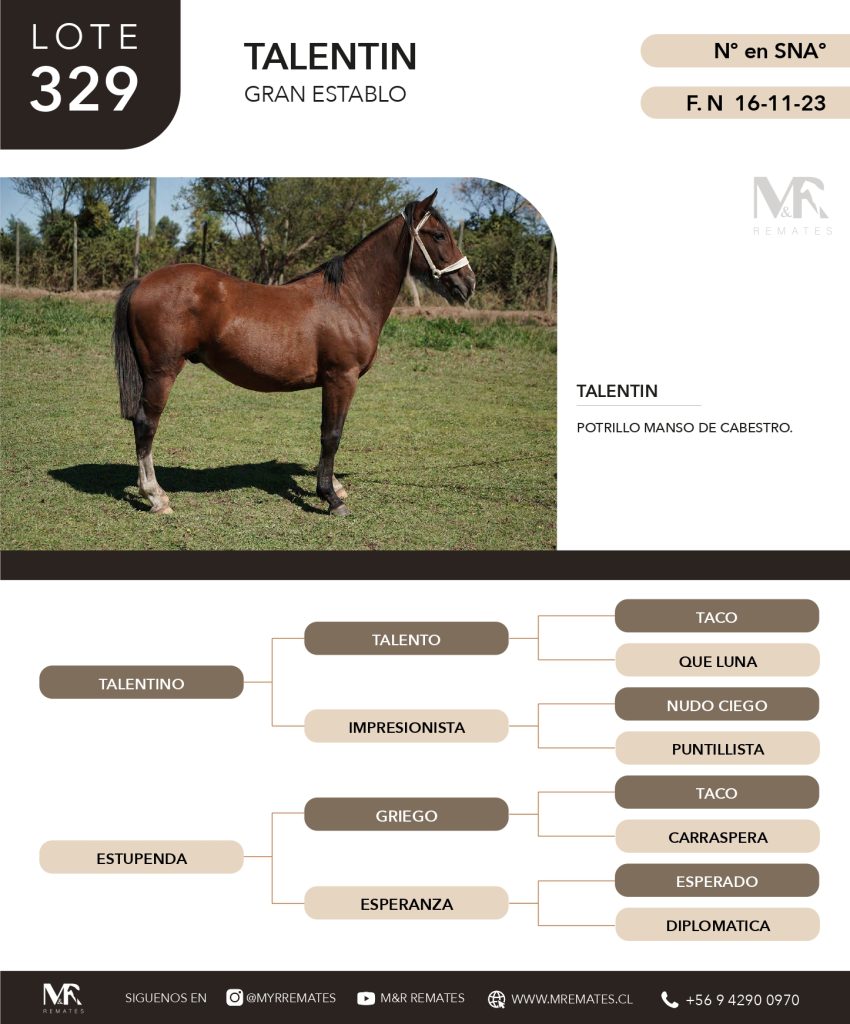cat-307025-12