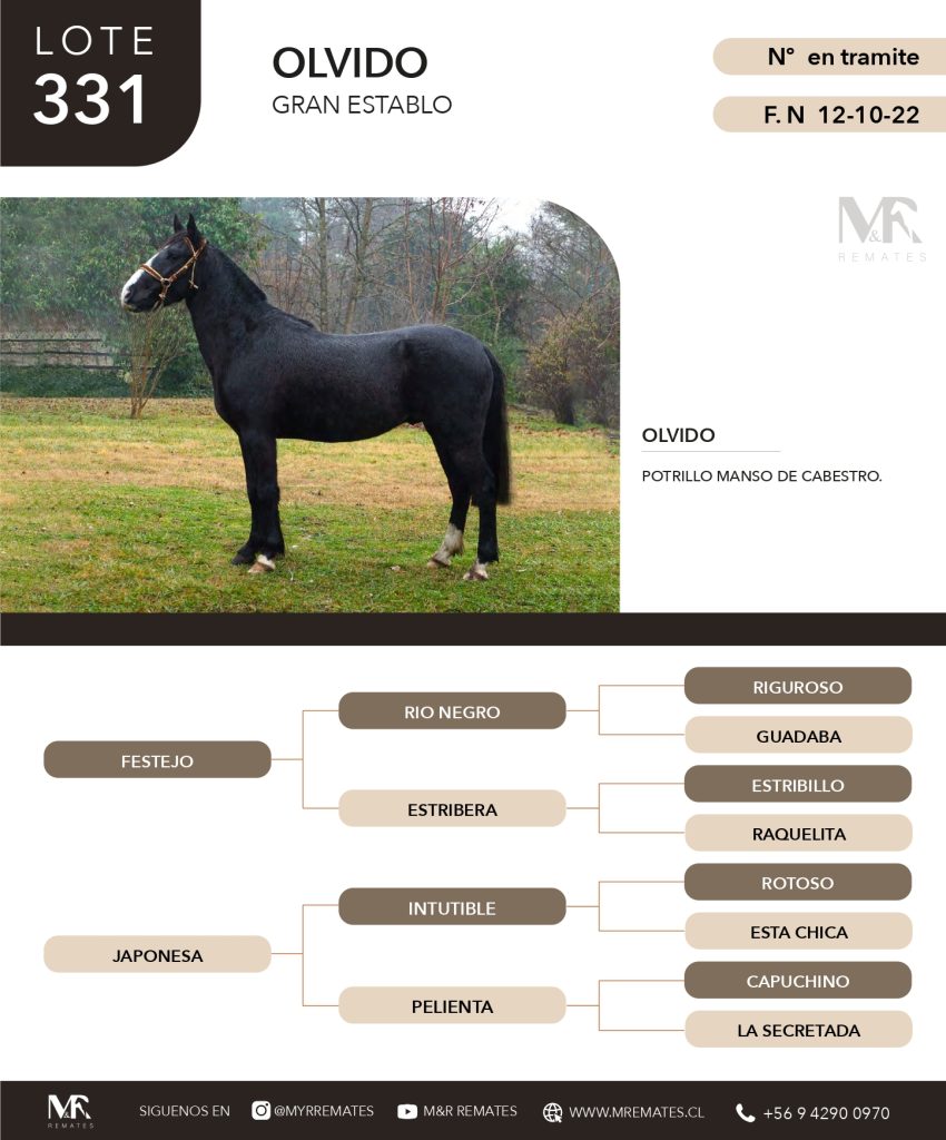 cat-307025-16