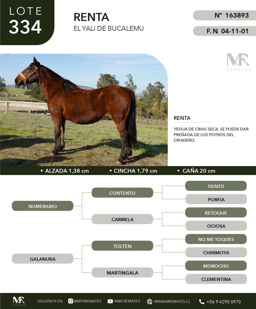 cat-307025-24