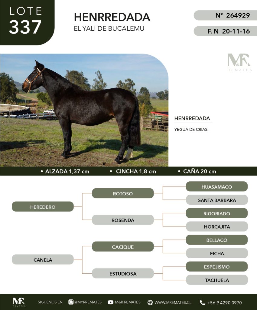 cat-307025-30