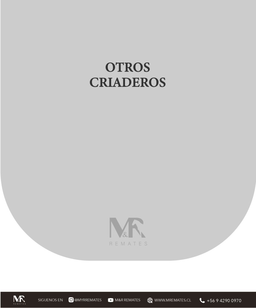 cat-307025-46