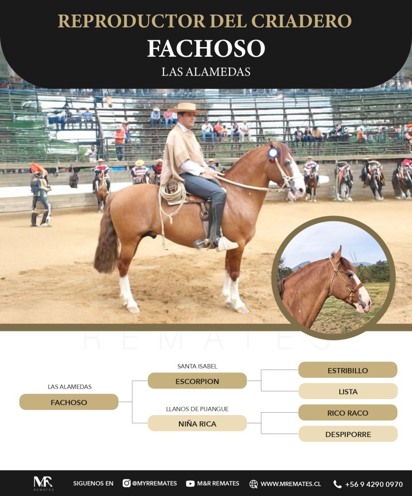 Catalogo_Criadero_Las_Alamedas-3_page-0007