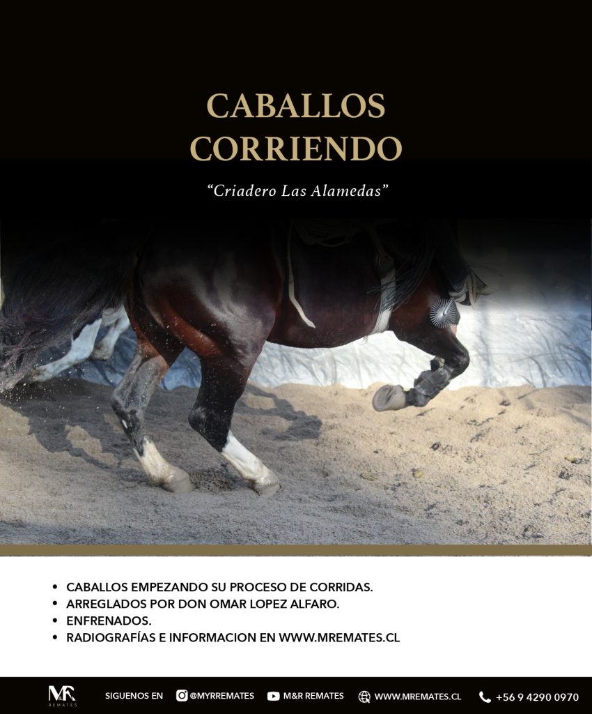Catalogo_Criadero_Las_Alamedas-3_page-0008