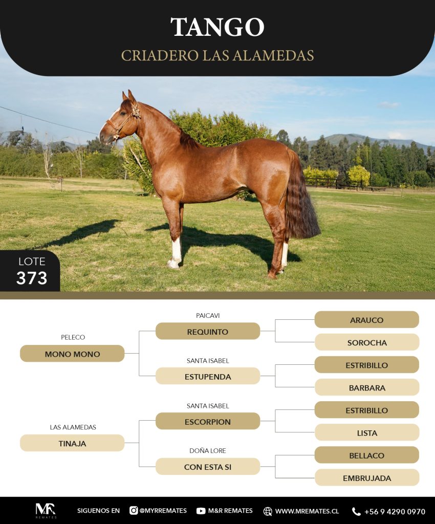 Catalogo_Criadero_Las_Alamedas-3_page-0009